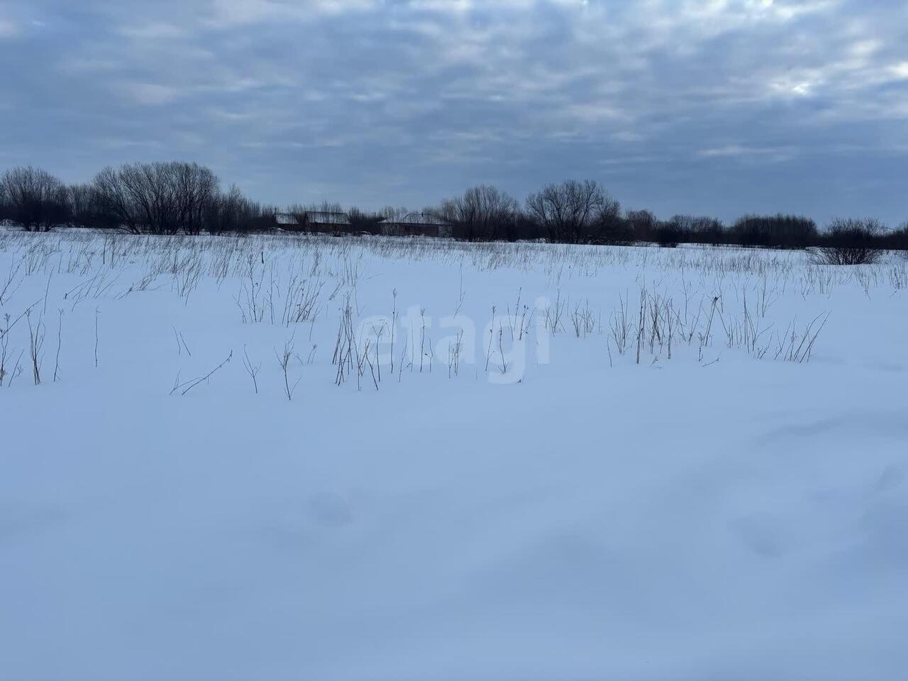 земля г Архангельск р-н Цигломенский округ тер. ТСН Малое Никольское 164 фото 4