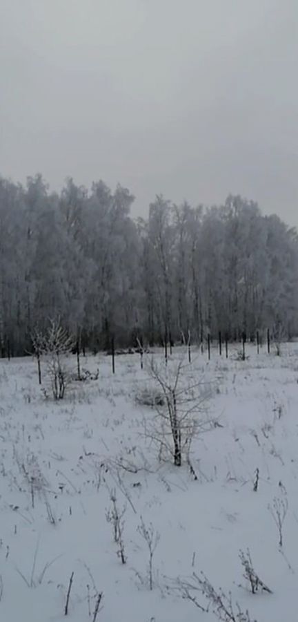 земля р-н Омский д Зеленое Поле ул Тенистая Магистральное сельское поселение, Омск фото 1