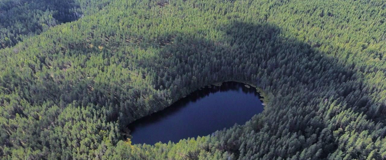 дом р-н Приозерский д Четверяково с пос, Сердце Вуоксы кп, Красноозерное фото 7