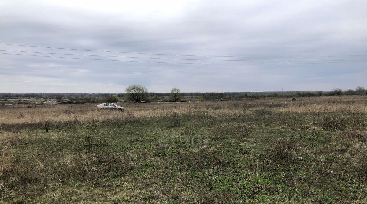 земля р-н Брянский п Новые Дарковичи Новодарковичское с/пос, Болва СДТ фото 1