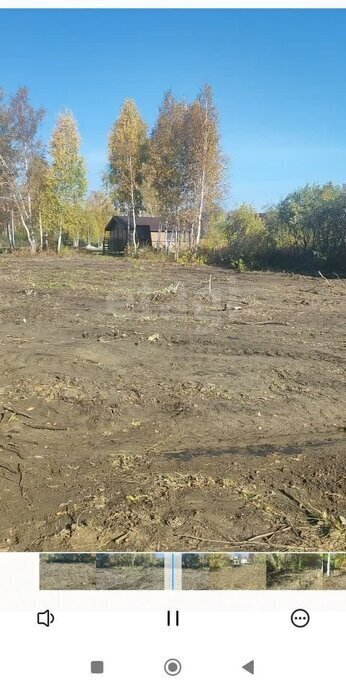 земля р-н Коченевский снт тер.Тальник ул Калиновая Заельцовская фото 1