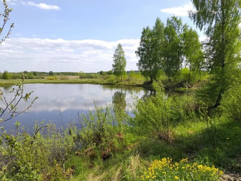 земля городской округ Истра д. Якунино фото 1