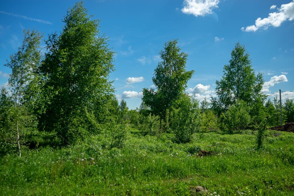 земля городской округ Чехов коттеджный посёлок Берёзовка-парк фото 1