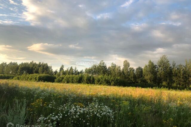 снт Дачное некоммерческое партнёрство Логиново, 89, Павлово-Посадский городской округ фото