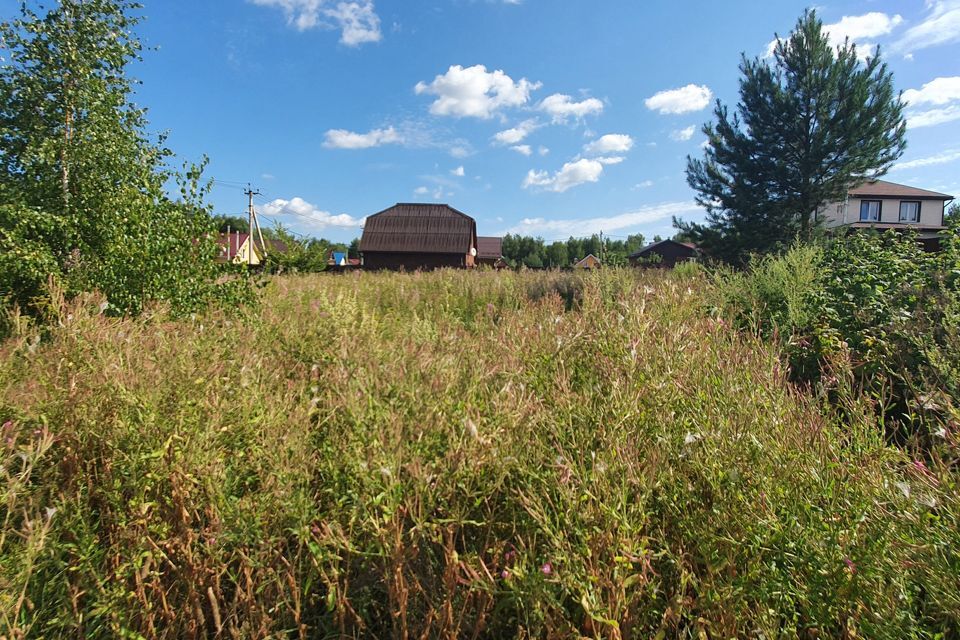 земля городской округ Раменский Усадьба Вороново фото 2