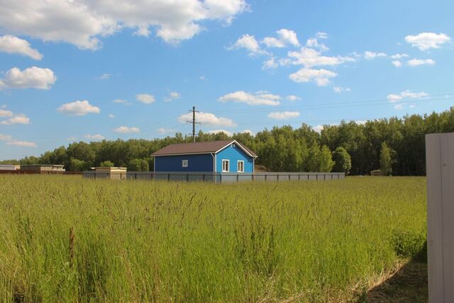 городской округ Химки, коттеджный поселок Шереметьевская усадьба фото