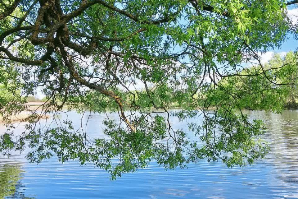 земля городской округ Домодедово коттеджный посёлок Береговой, 208 фото 1