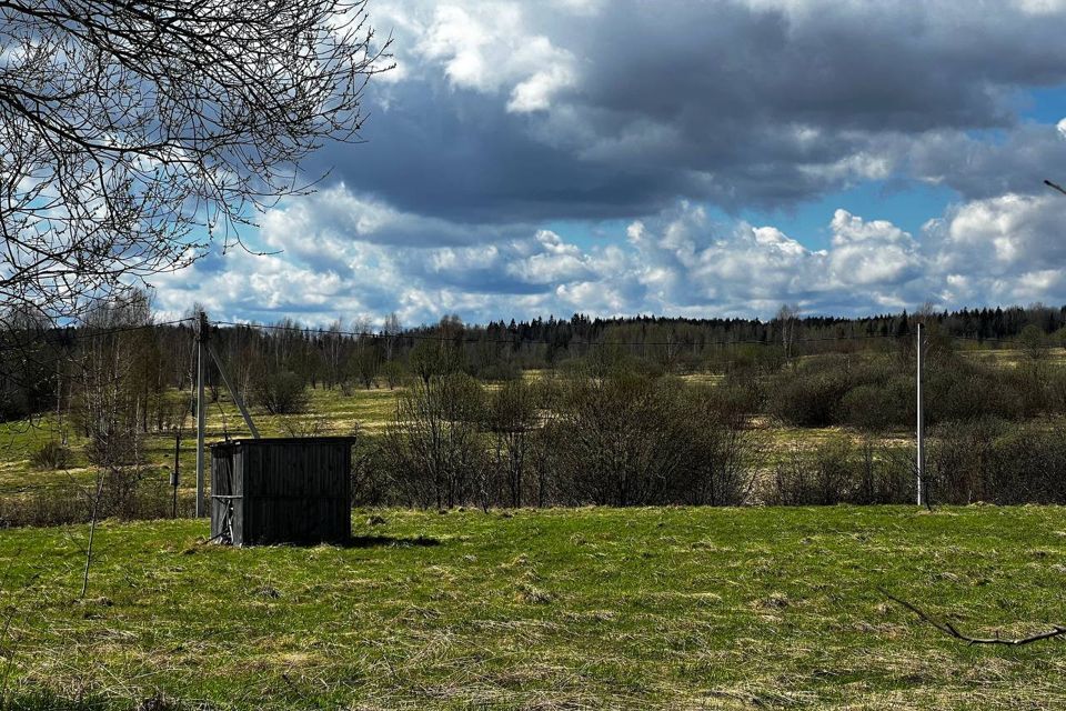 земля городской округ Шаховская д. Репотино фото 1