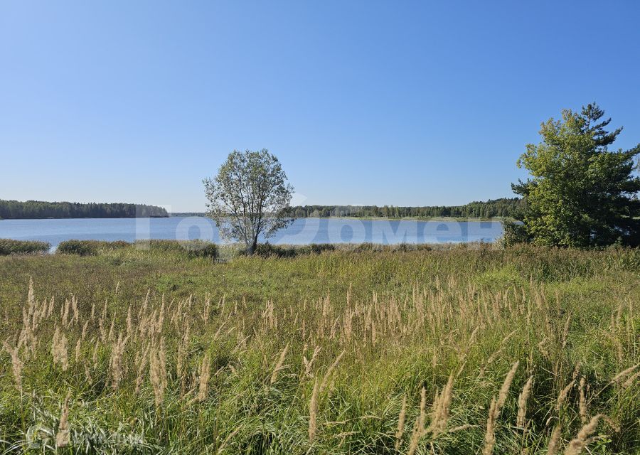 земля городской округ Шаховская деревня Сутоки фото 1