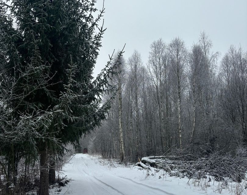 земля Коломна городской округ, СНТ Автомобилист фото 1