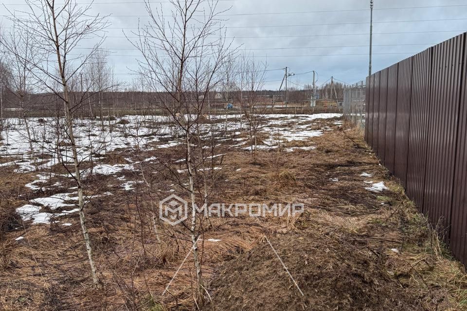 земля городской округ Можайский д. Денисьево фото 1