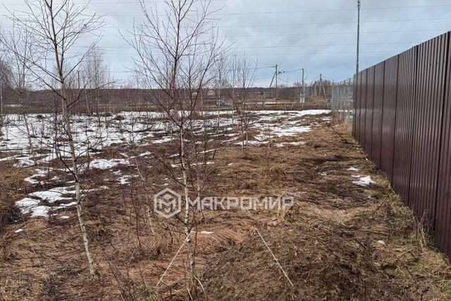 д. Денисьево фото