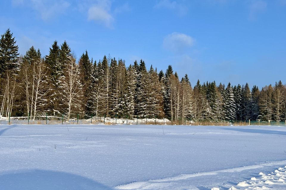 земля городской округ Дмитровский 5 Соток фото 1