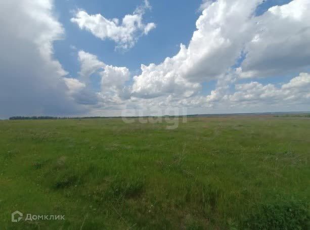 земля городской округ Серебряные Пруды пос. Дмитриевский фото 1