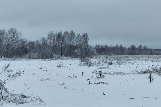 Кудыкино Лайф фото