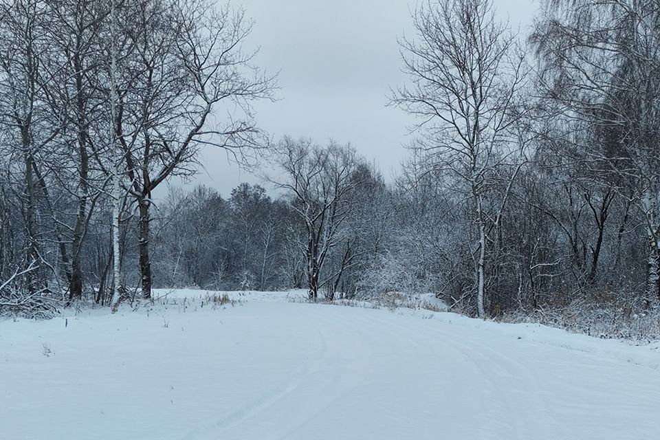 земля городской округ Орехово-Зуевский Кудыкино Лайф фото 1