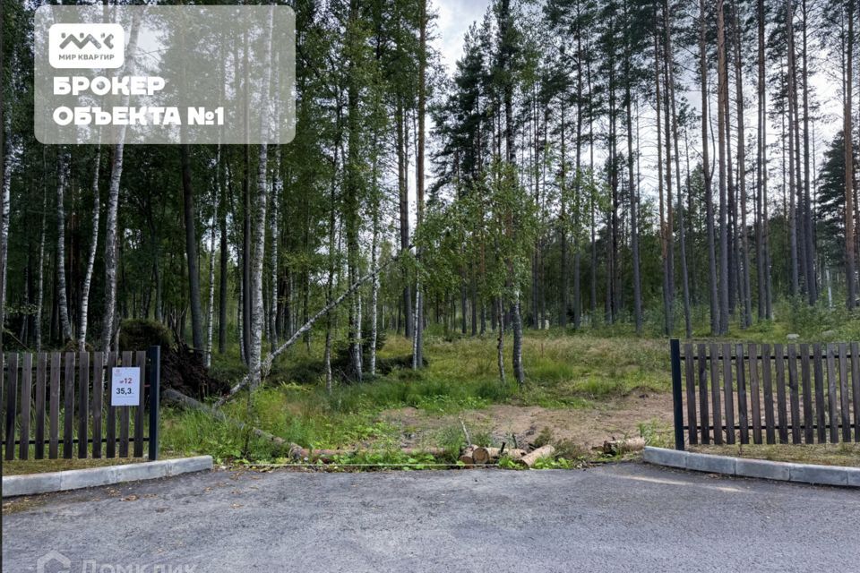 земля р-н Приозерский д Раздолье Солнечный орнамент фото 1