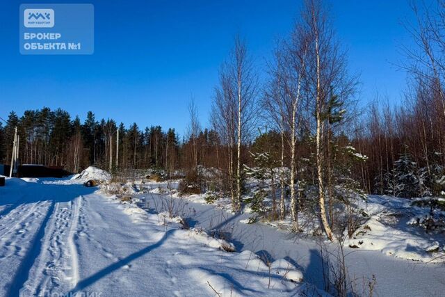 земля Сосновоборский городской округ, СНТ Лотос фото