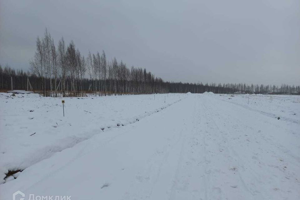 земля р-н Всеволожский фото 1