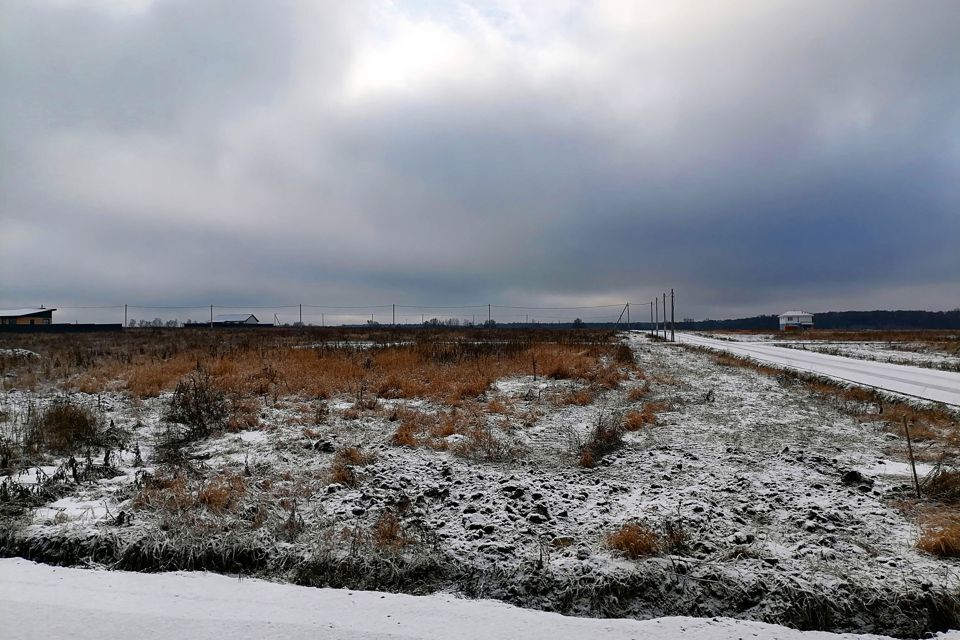 земля городской округ Домодедово с. Кузьминское фото 1