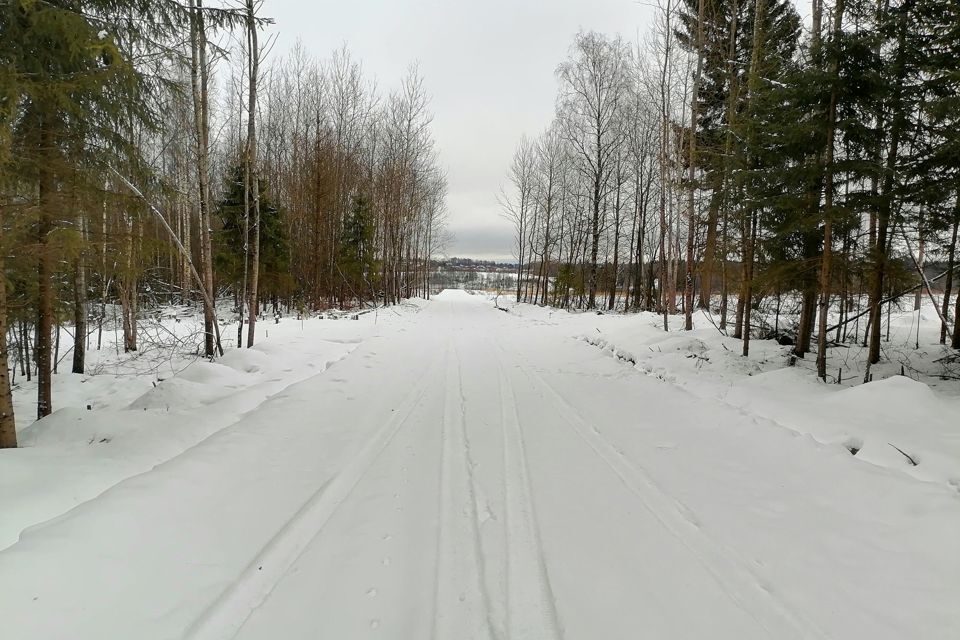 земля городской округ Дмитровский Медведки фото 1