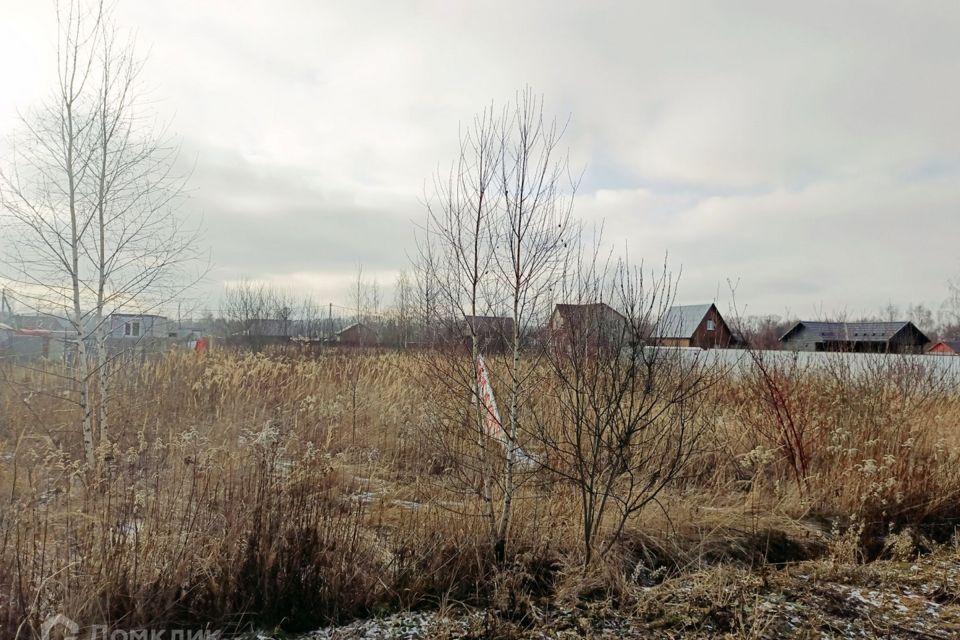 земля городской округ Раменский СНТ Чистые пруды фото 1