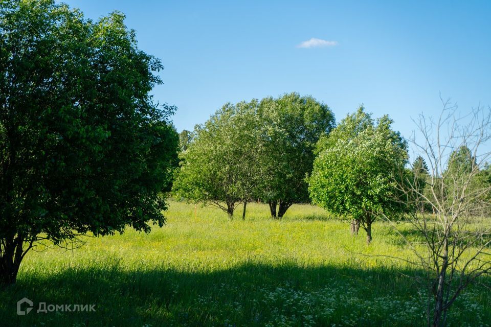 земля р-н Всеволожский фото 1