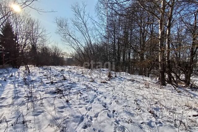 земля д. Валищево фото