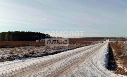 земля городской округ Домодедово Барыбино фото 1