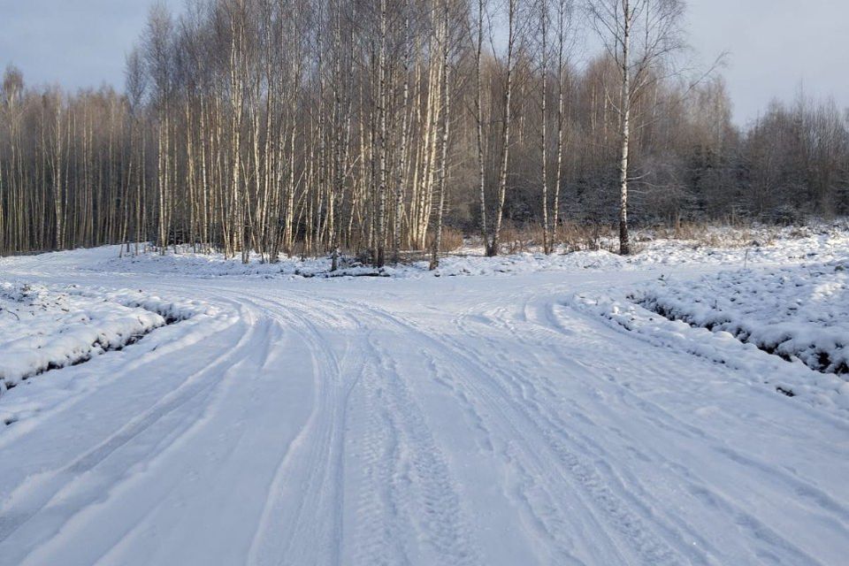 земля городской округ Дмитровский д. Сбоево фото 1