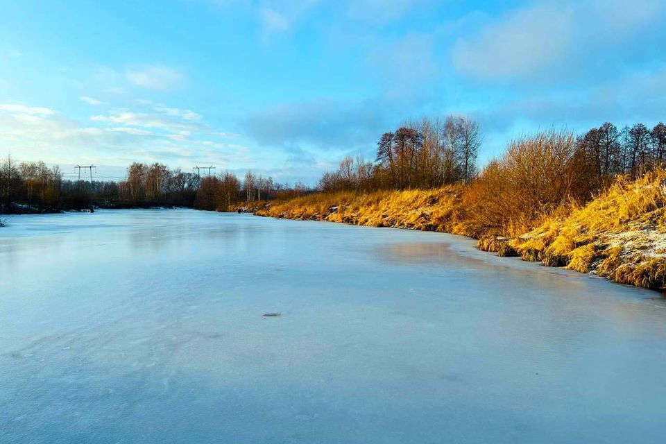 земля городской округ Раменский д Васильево 19а фото 1