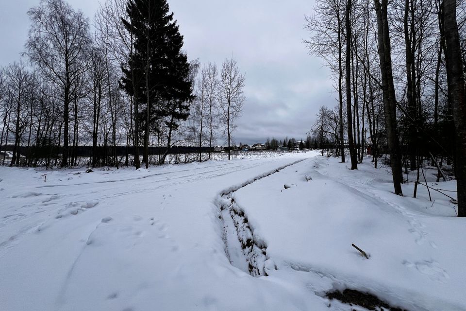 земля городской округ Дмитровский фото 1