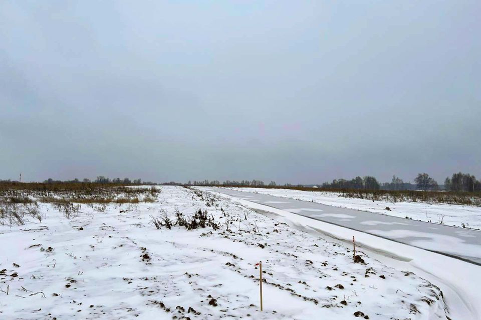 земля г Домодедово Домодедово городской округ, Кузьминский фото 1