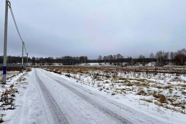 Пахра Ривер Парк фото