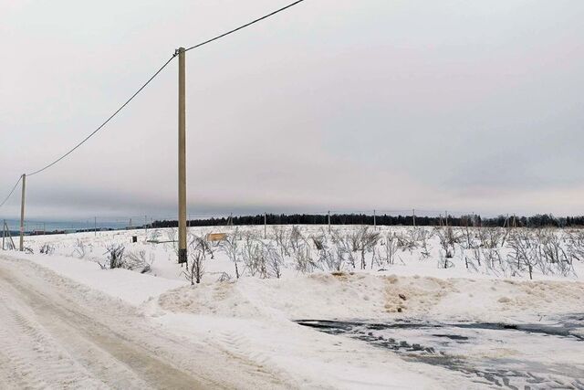 д. Синево фото