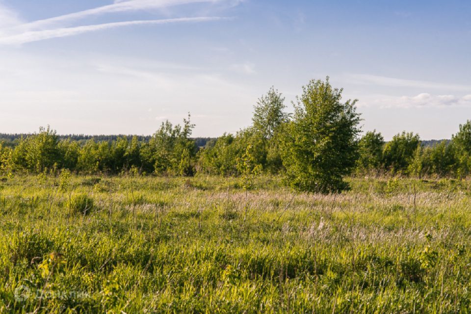 земля городской округ Истра Миллениум парк фото 1