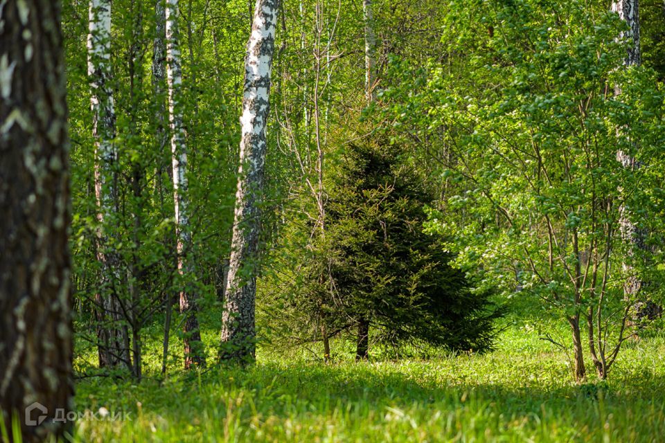 земля городской округ Одинцовский Успенские дачи-1, 30а фото 1