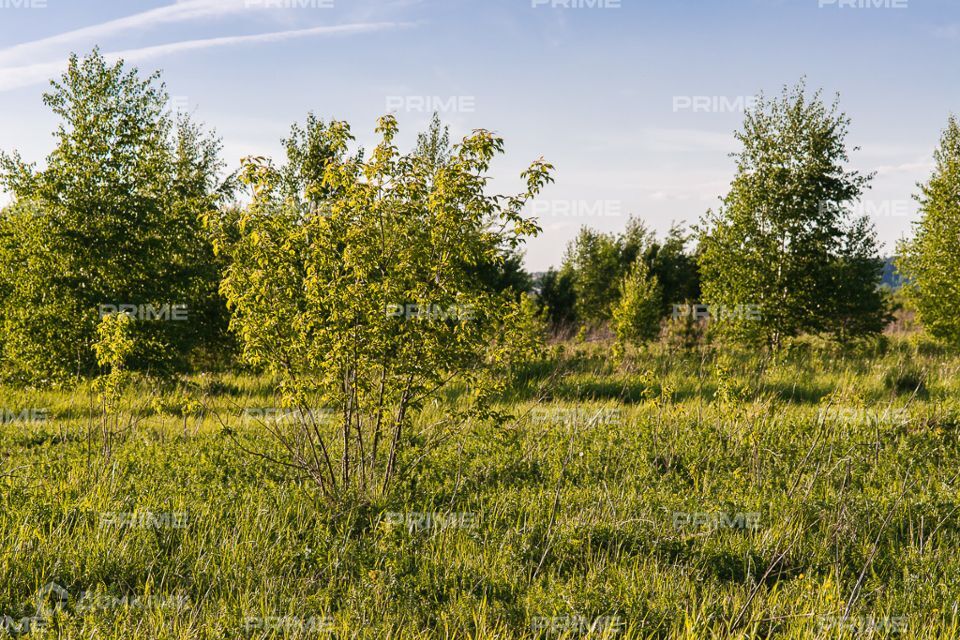 земля городской округ Красногорск Ильинское шоссе фото 1