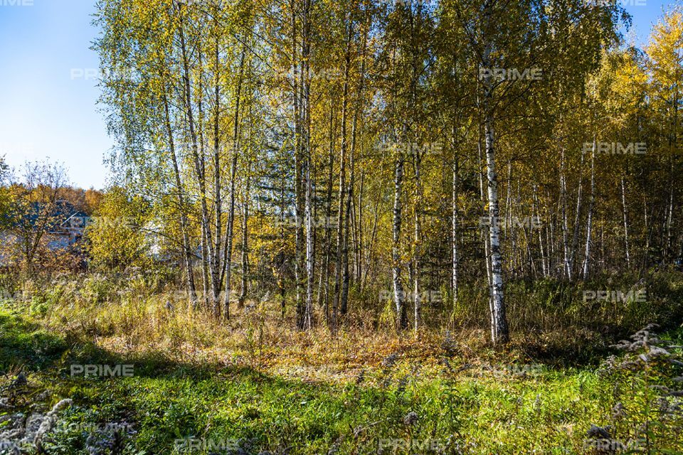 земля городской округ Красногорск д. Бузланово фото 1