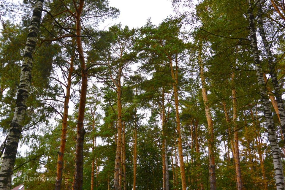 земля городской округ Одинцовский д Сальково 44 фото 1