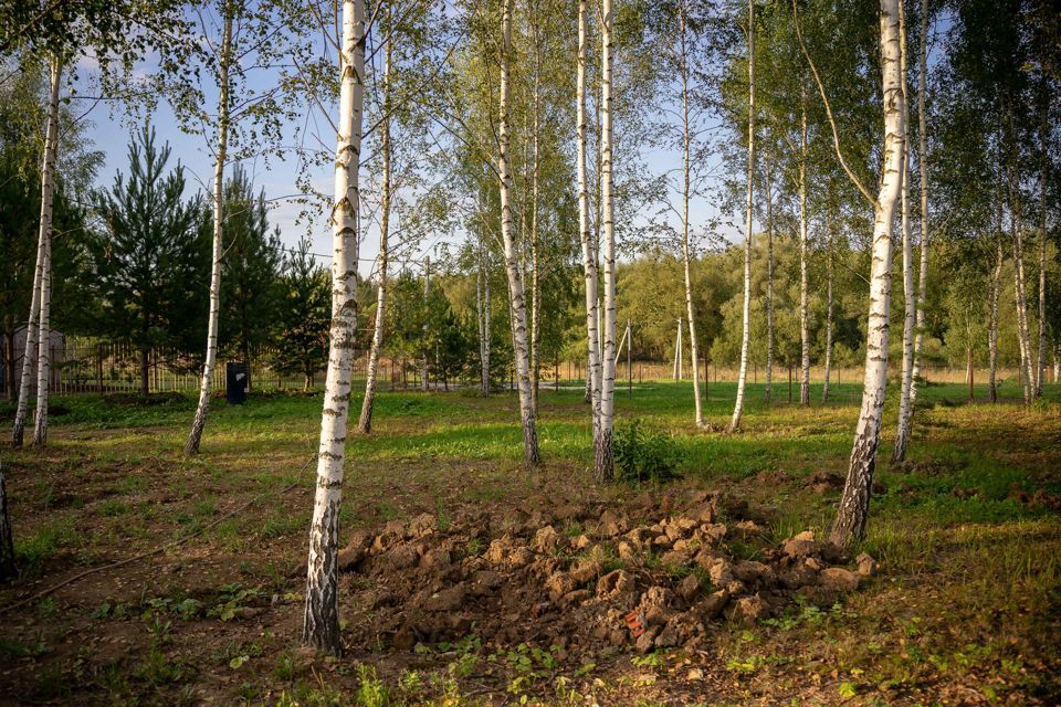 земля городской округ Чехов коттеджный посёлок Берёзовка-парк фото 4