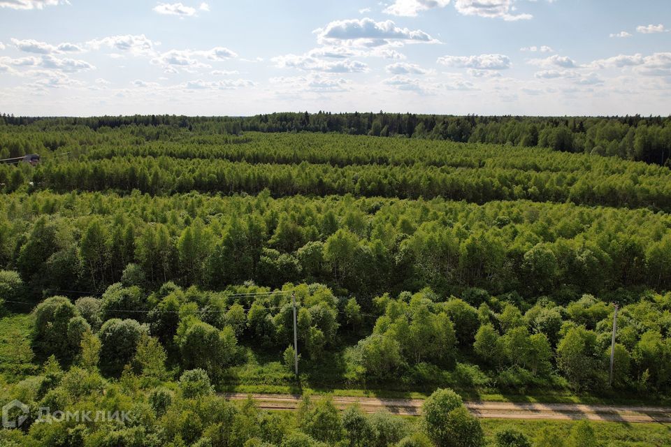 земля городской округ Можайский коттеджный посёлок Лесные Просторы, 127 фото 3