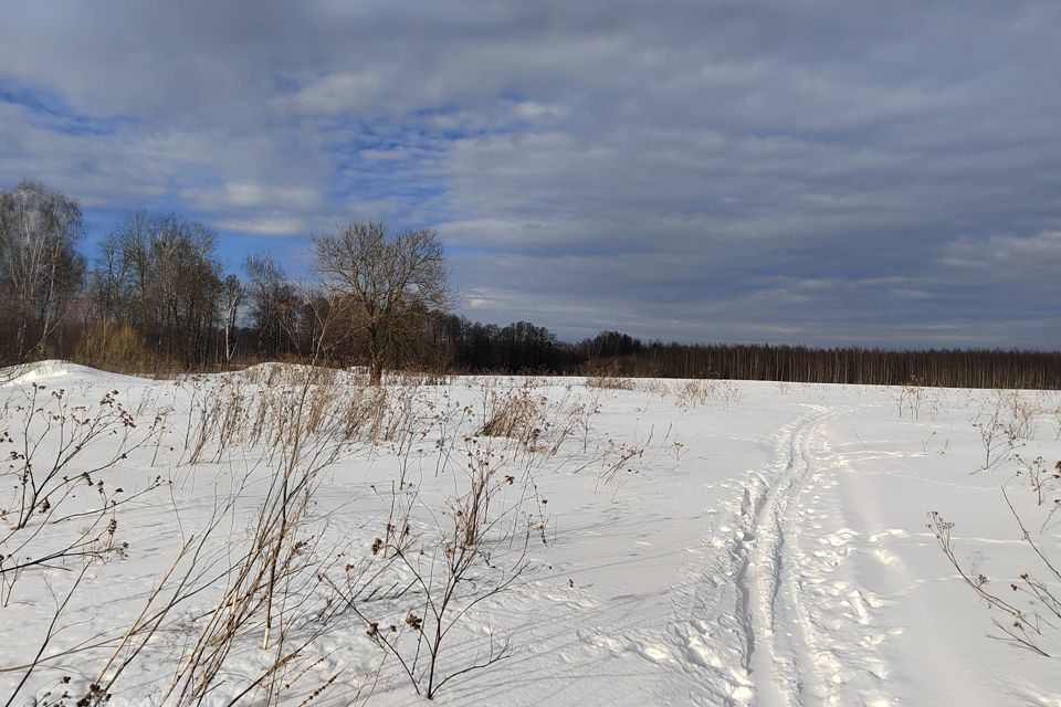 земля городской округ Раменский деревня Васильево фото 4