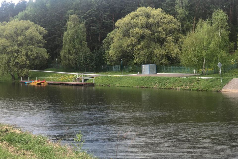 земля городской округ Домодедово д. Юсупово фото 3