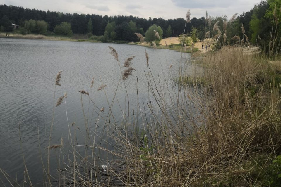 земля городской округ Раменский Огородная улица фото 3