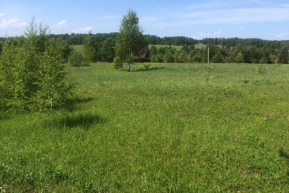 земля городской округ Сергиево-Посадский д. Большие Дубравы фото 2