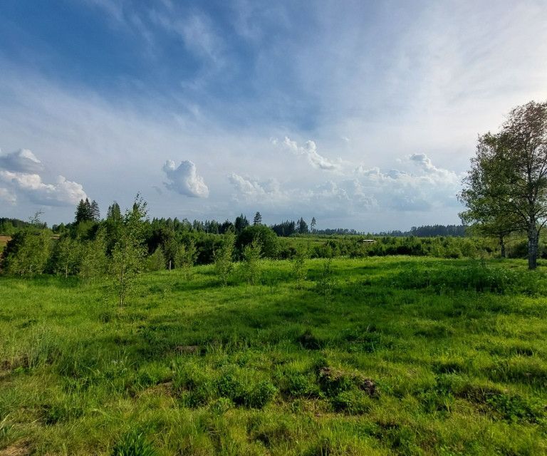 земля городской округ Солнечногорск д Бакеево Элитные Дачи квартал фото 2