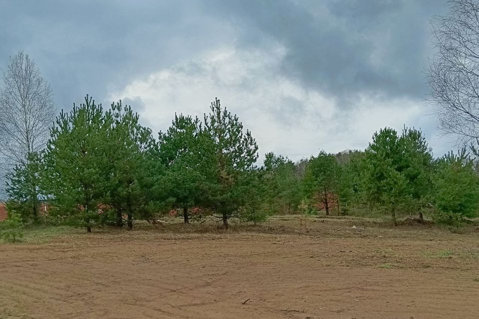 земля городской округ Чехов коттеджный посёлок Берёзовка-парк фото 4