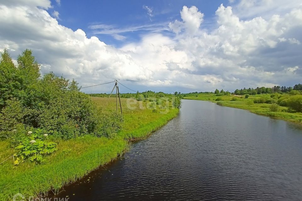 земля р-н Волховский Прусынская Горка фото 2