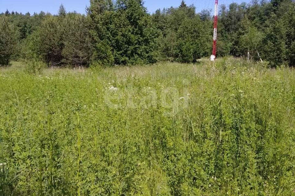 земля р-н Волховский д Яхново ул Тихвинская 35 фото 4